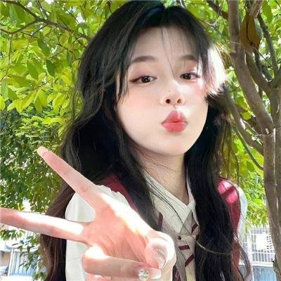 夏日的玫瑰
