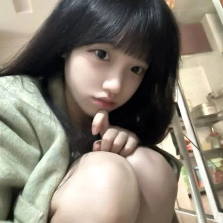 木府风云